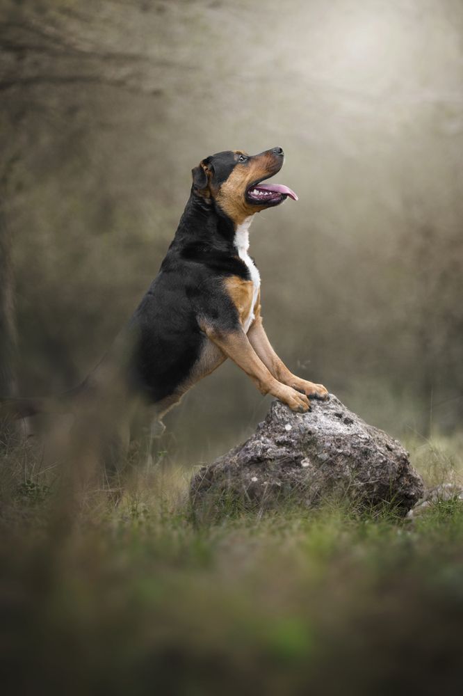 Photograph by Paula Casado Gutierrez