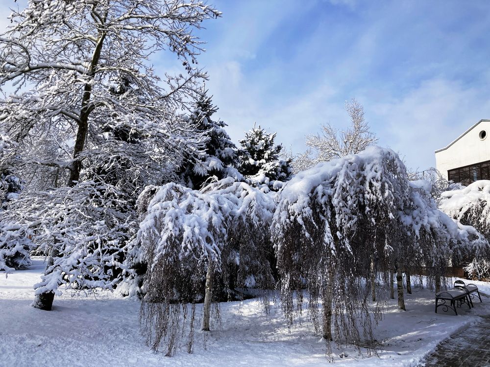 Photograph by Ярослав Сергеевич