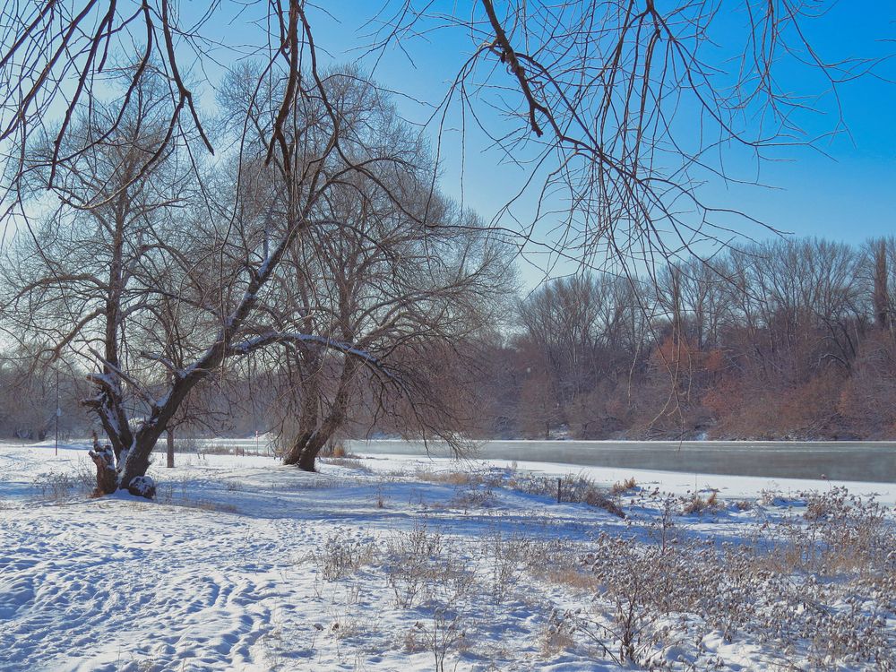 Photograph by Александр Малютин