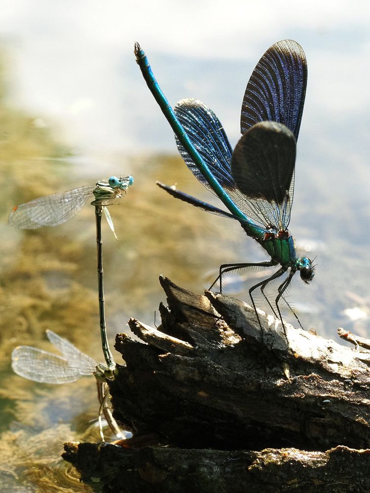 Photograph by Алексей Поляков