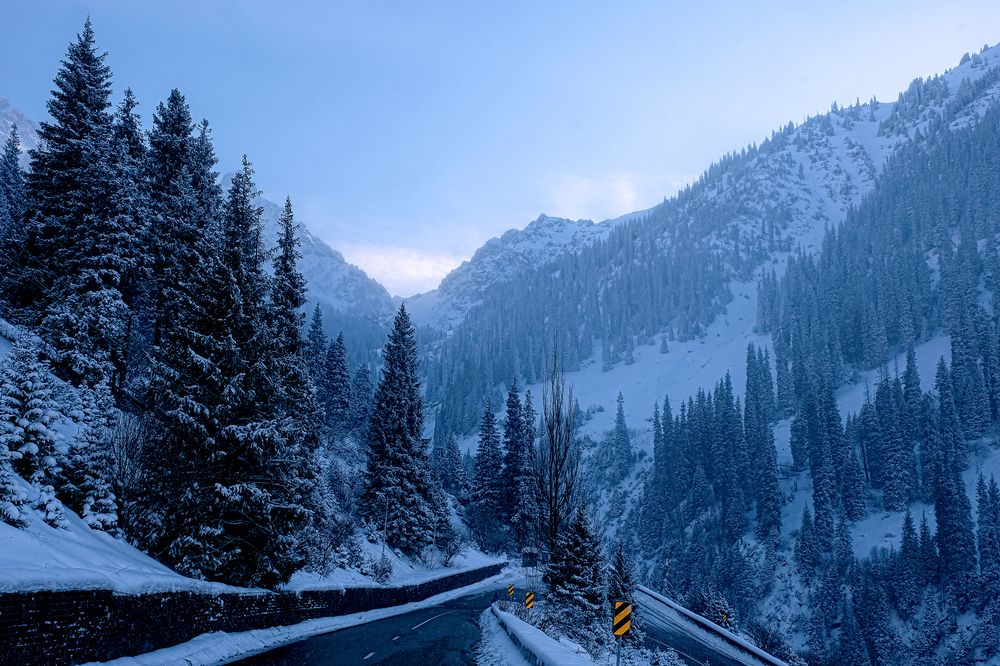 Photograph by Алексей Баженов