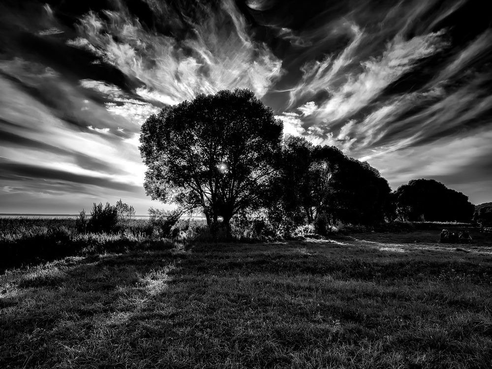 Photograph by Алёна Пшеленская