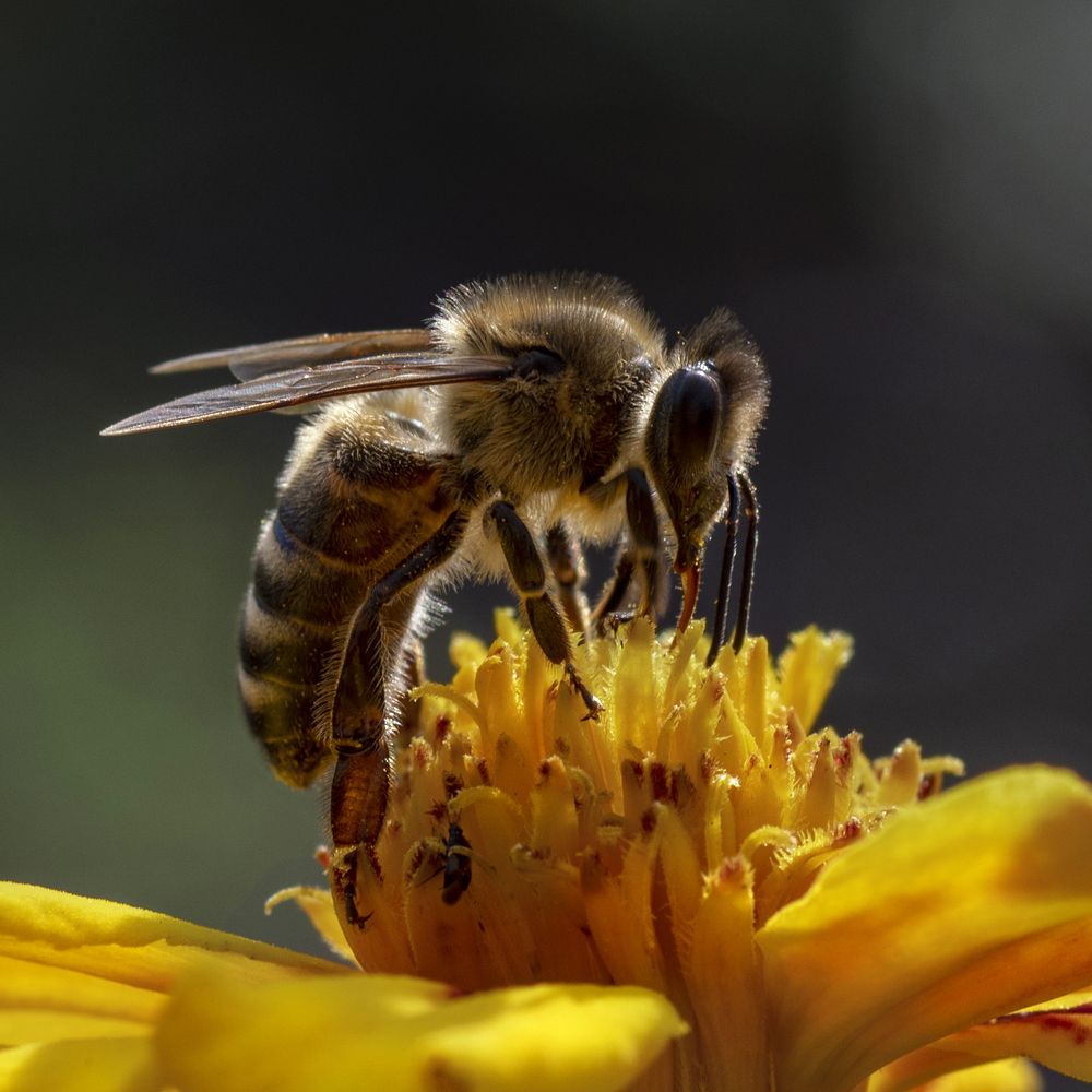 Photograph by Алёна Ивочкина