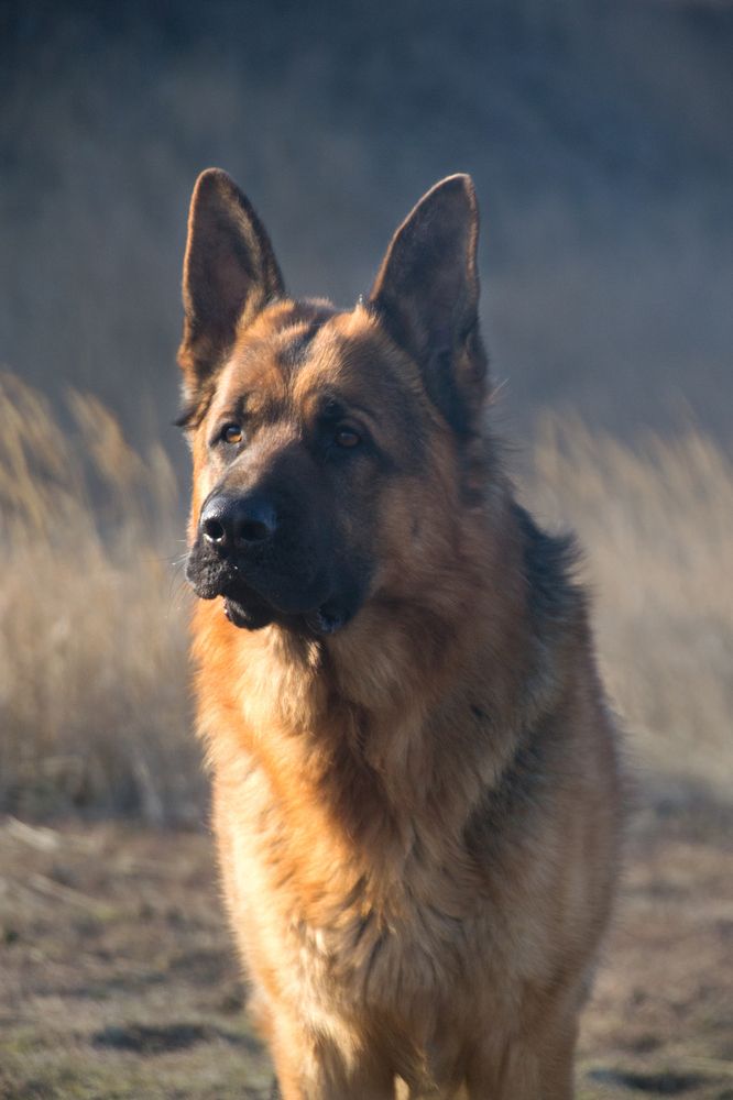 Photograph by Дарья Сычева