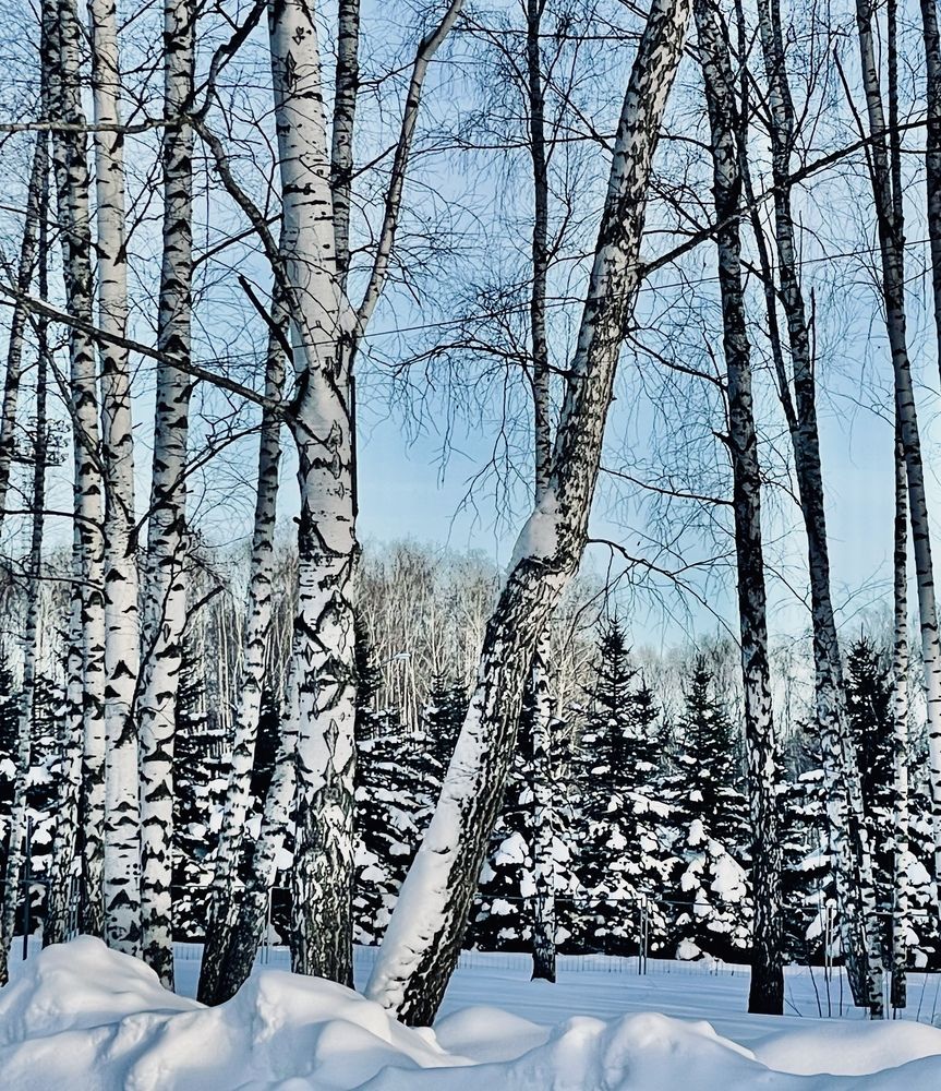 Photograph by Татьяна Мустафина