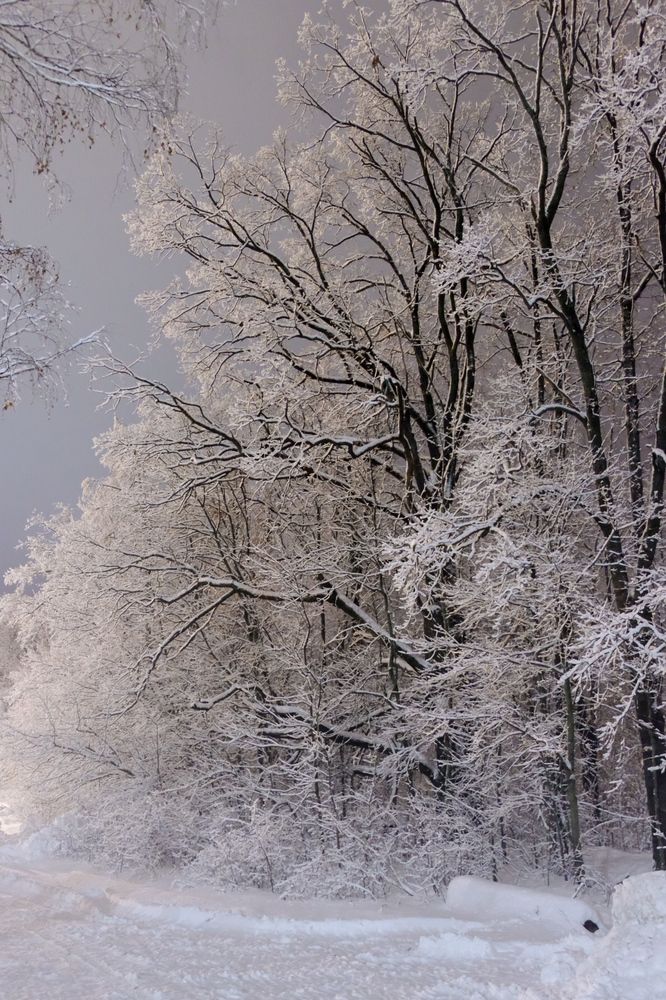 Photograph by Илья Панкратов