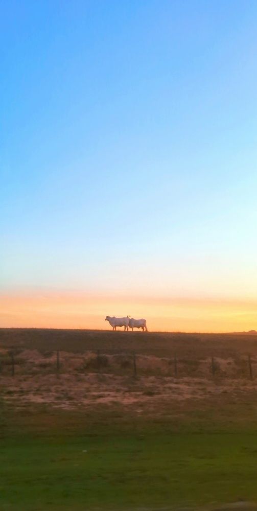 Photograph by Meire Costa