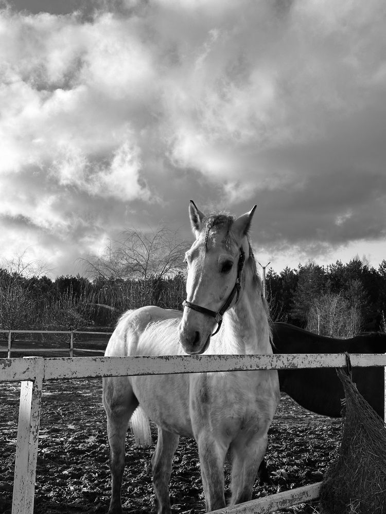 Photograph by Диана Янковская