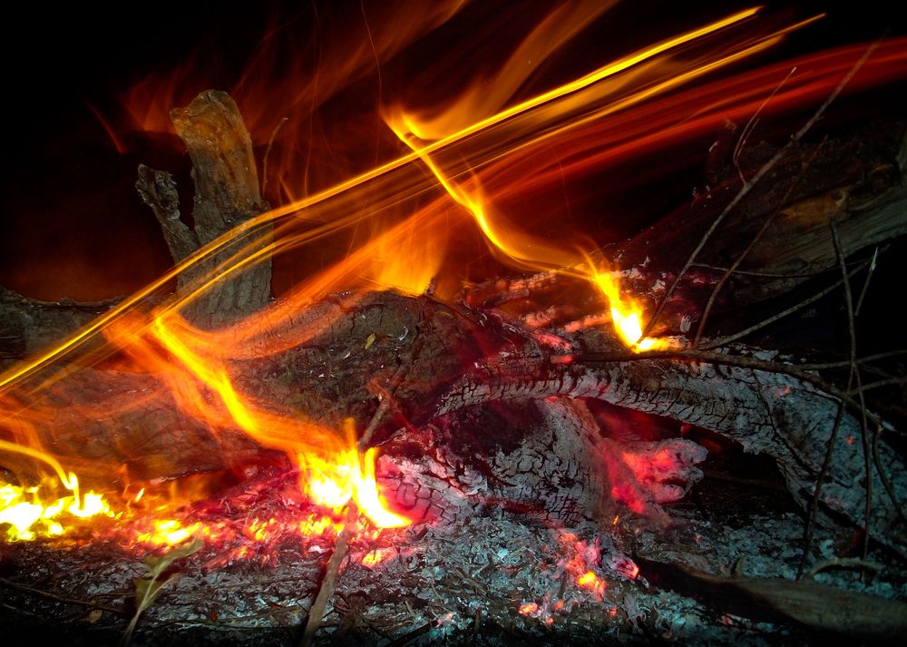 Photograph by Dragan Leles