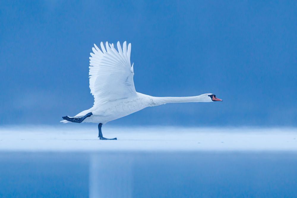 Фотография автора Patryk Kurc