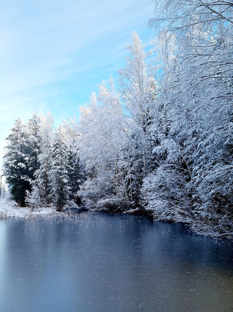 Photograph by Инна Мухина