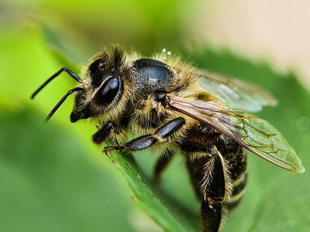 Photograph by Татьяна Соколовская