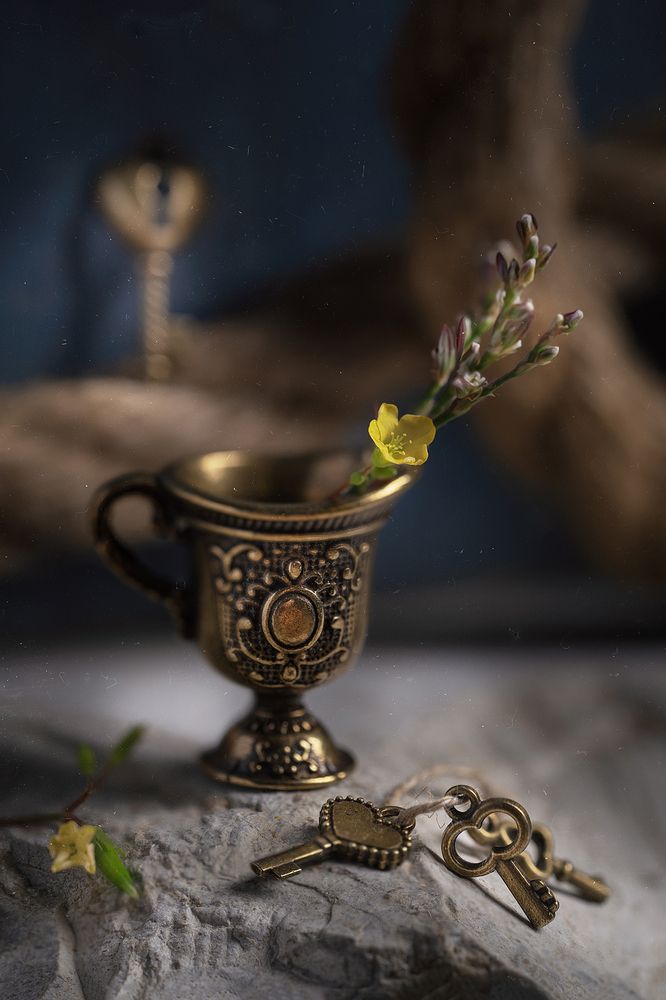 Фотография автора Ольга Яр