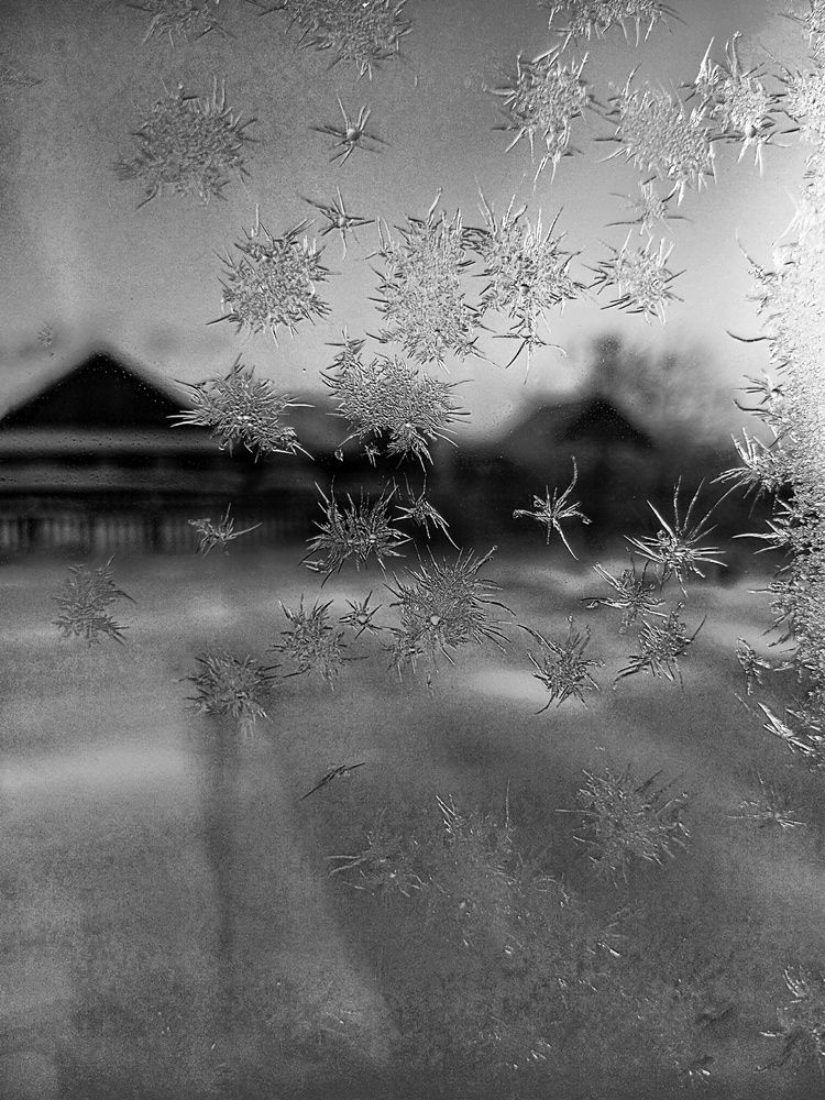 Photograph by София Бояринцева