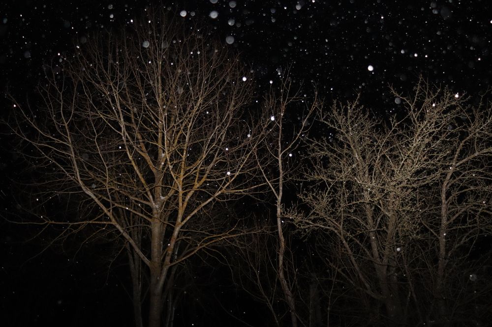 Фотография автора Роман Савин