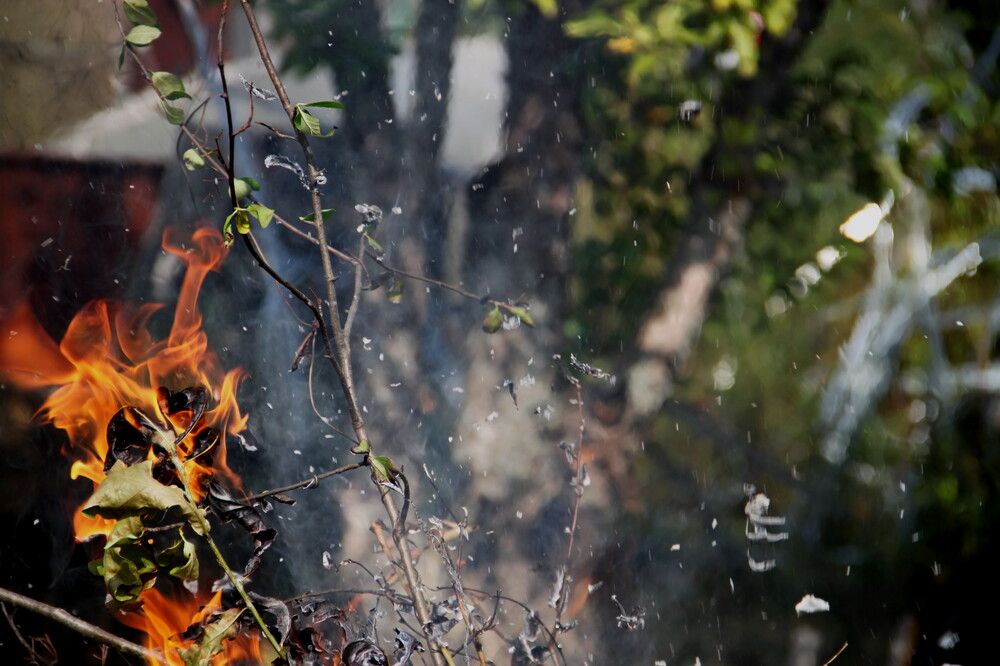 Photograph by Валерия Гуртовая