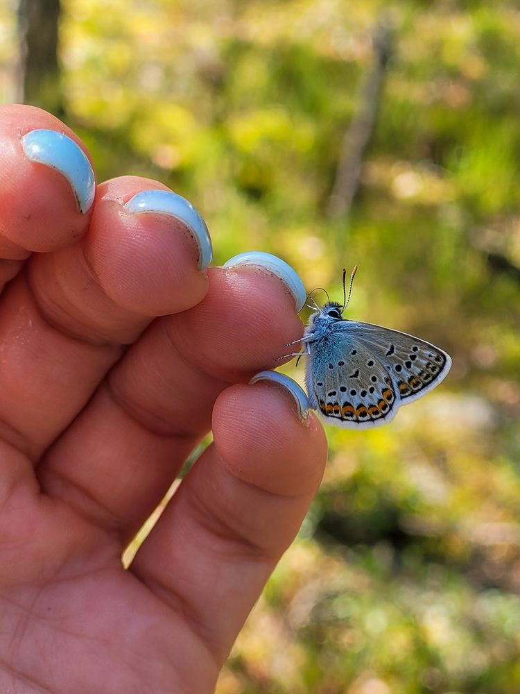 Photograph by Валерия Гуртовая