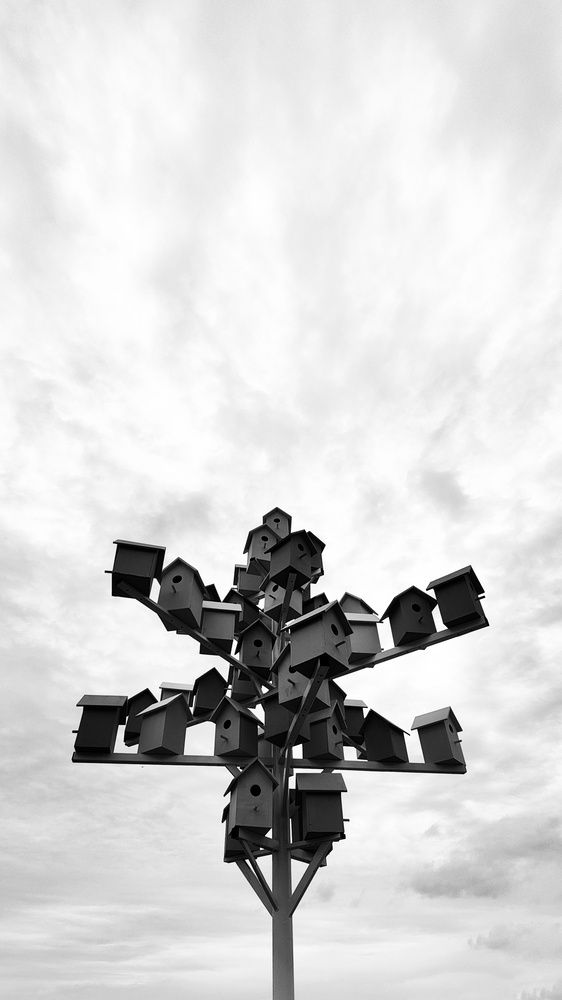 Photograph by Наталья Гайдукевич