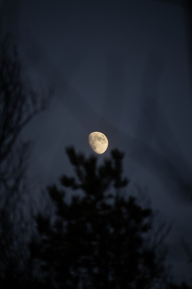 Photograph by Макар Бурков
