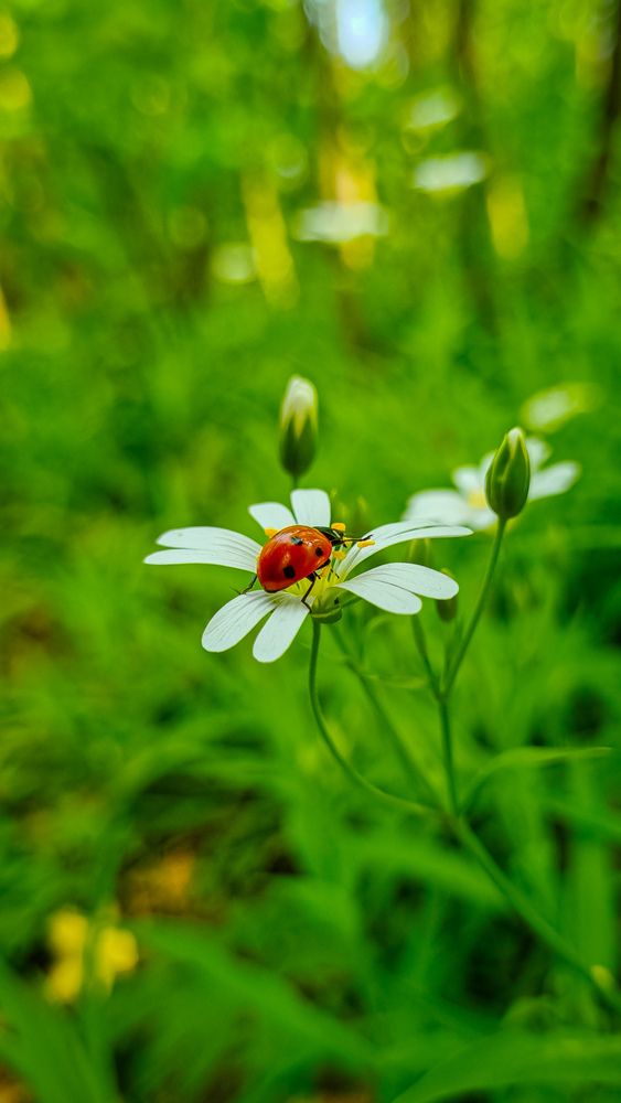 Photograph by Игорь Кабанов