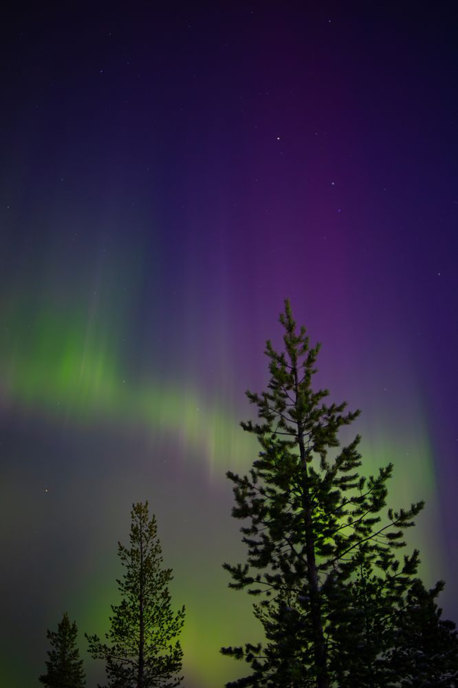 Photograph by Макар Бурков