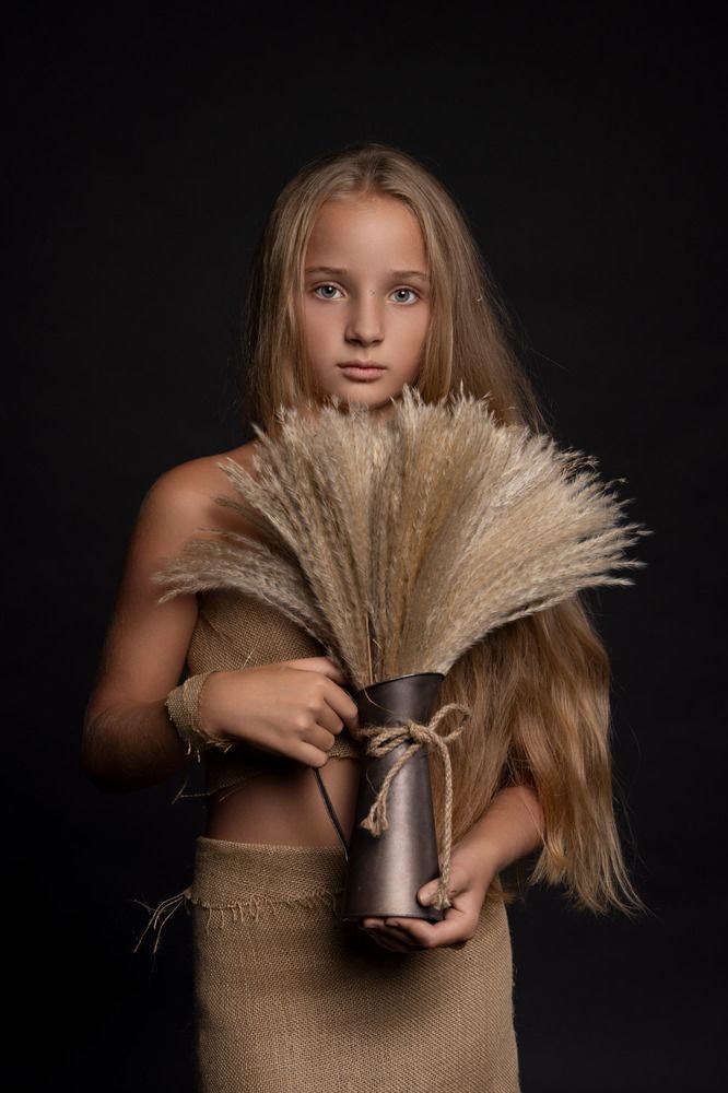 Фотография автора Robert Stein