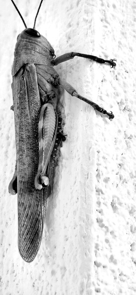 Photograph by Viktorova