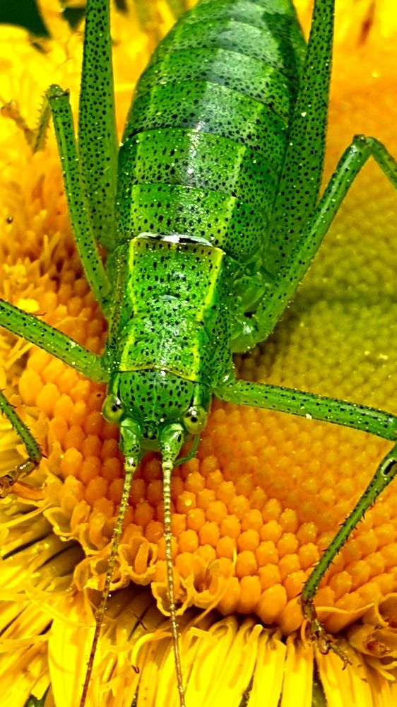 Photograph by Viktorova