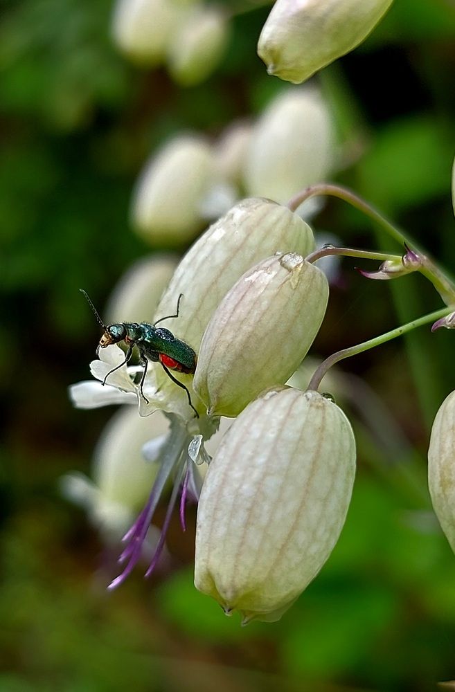 Photograph by Viktorova