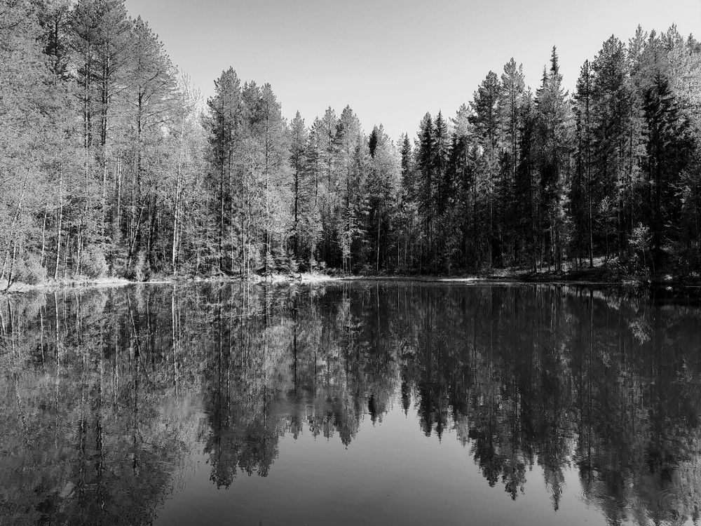 Photograph by Ольга Березовская