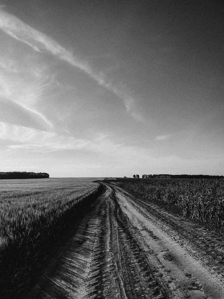 Photograph by Ляйсан Саляхиева