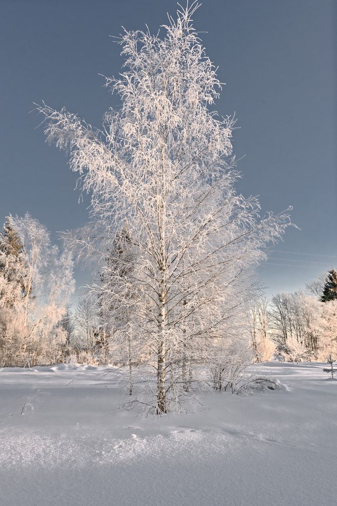 Photograph by Андрей Симаков