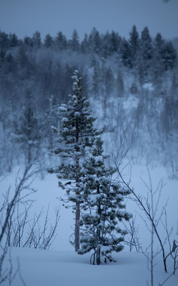 Photograph by Макар Бурков