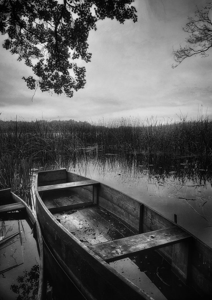 Photograph by Ольга