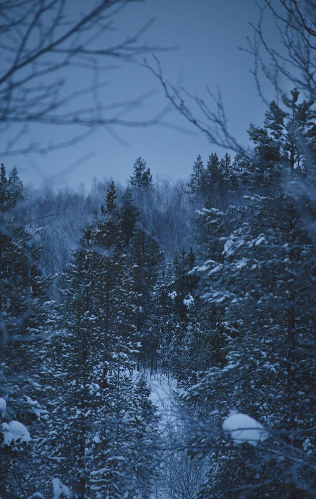 Photograph by Макар Бурков