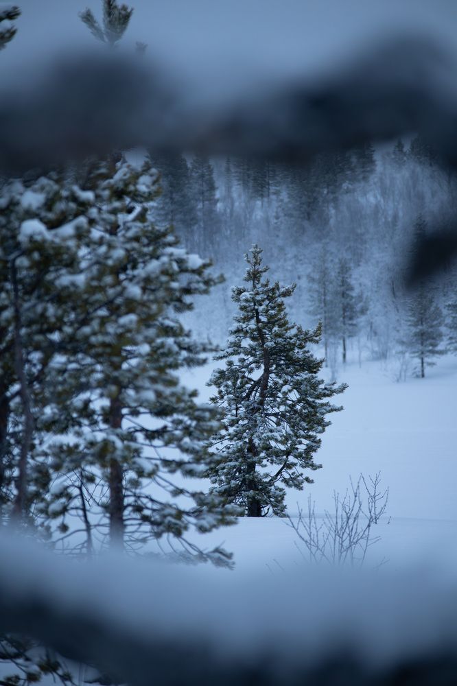 Photograph by Макар Бурков