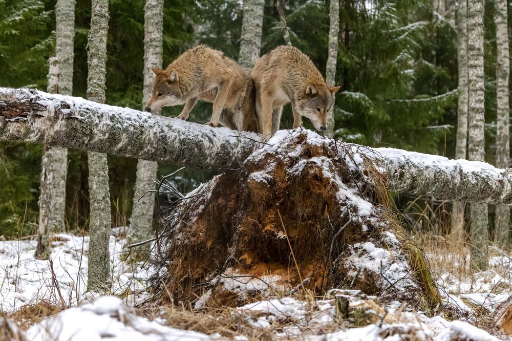 Мы найдем тебя.