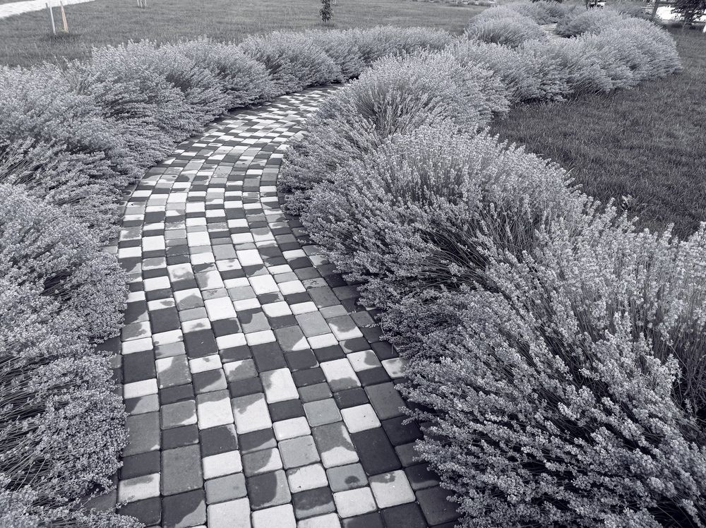 Photograph by Ирина Марченко