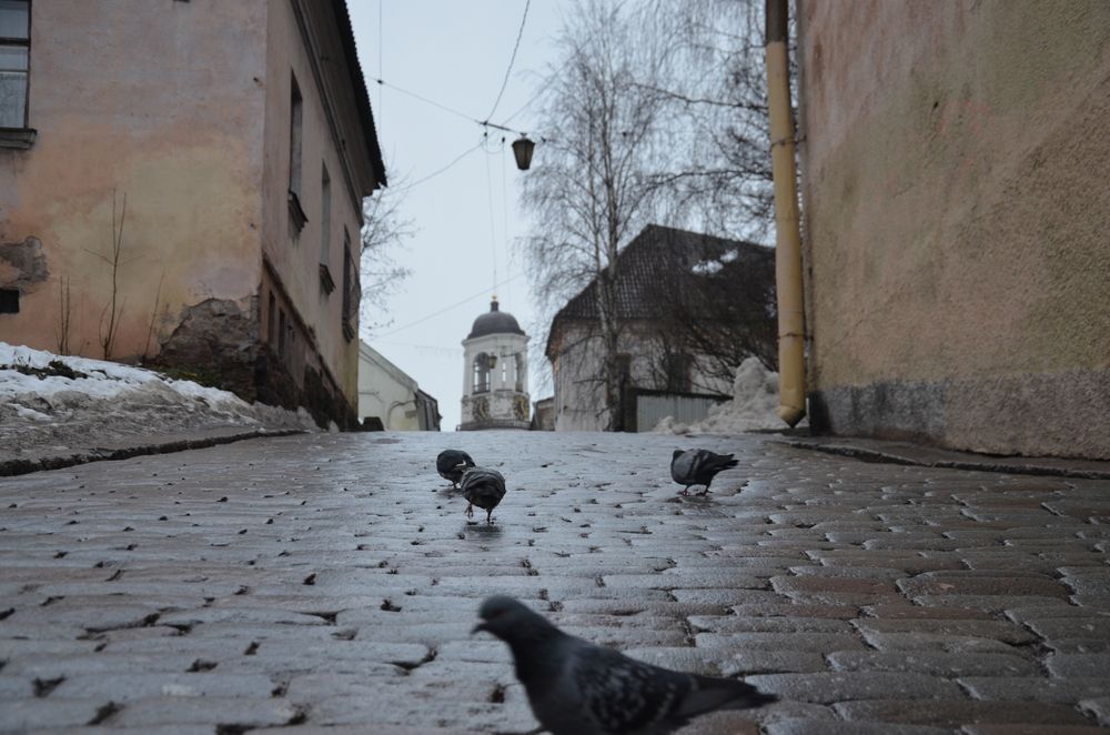 Photograph by Татьяна Чурикова