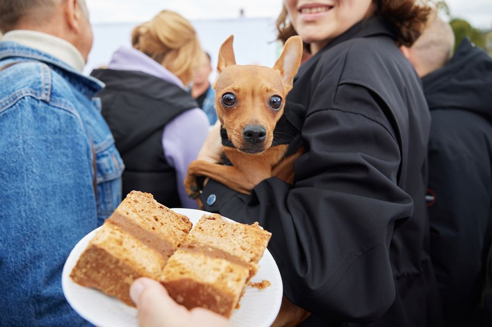 Photograph by Вербицкий Петр