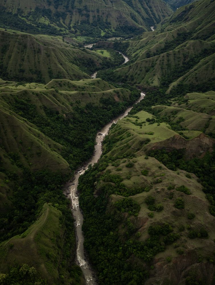 Фотография автора Evgeny Pochaev