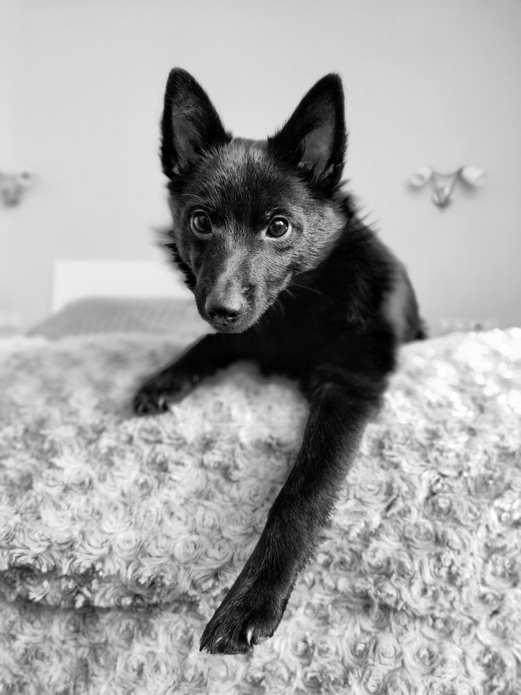 Photograph by Наталья Гайдукевич