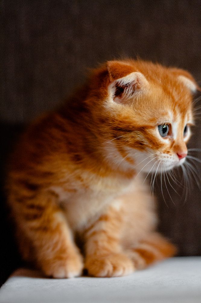 Фотография автора Никита Сагунов