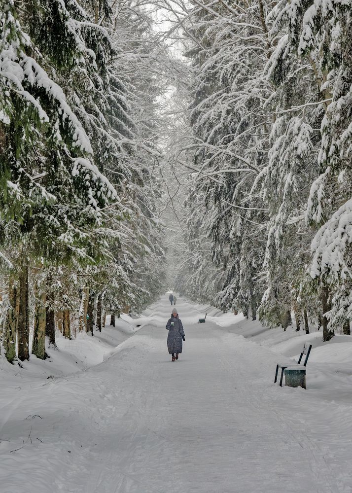 Photograph by Владимир Шутов