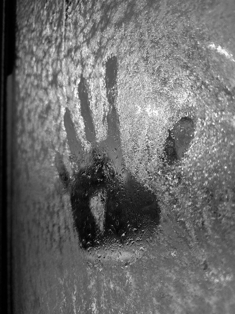 Photograph by Elena Neprosh