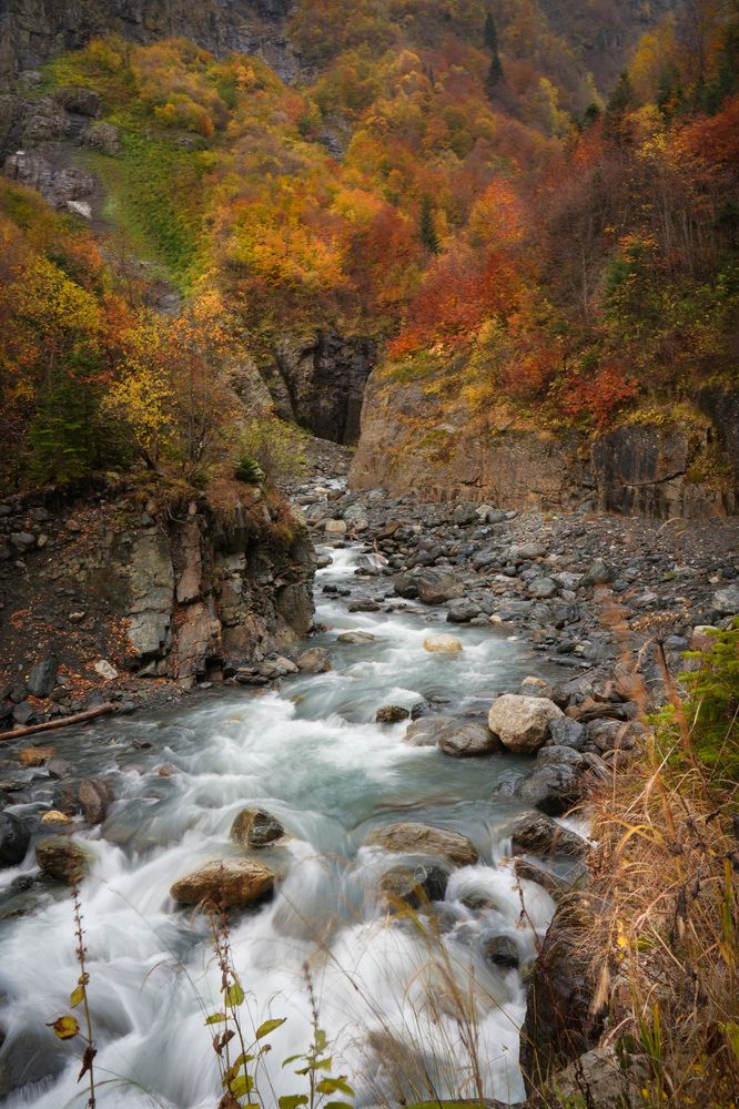 Фотография автора Светлана Зимина