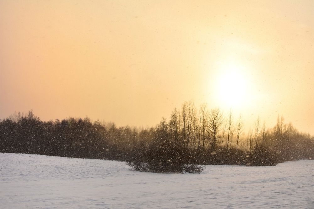 Photograph by Татьяна Абабкова