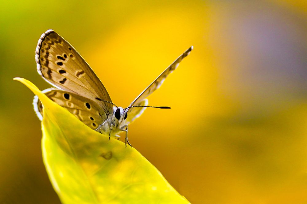 Photograph by Abhishek