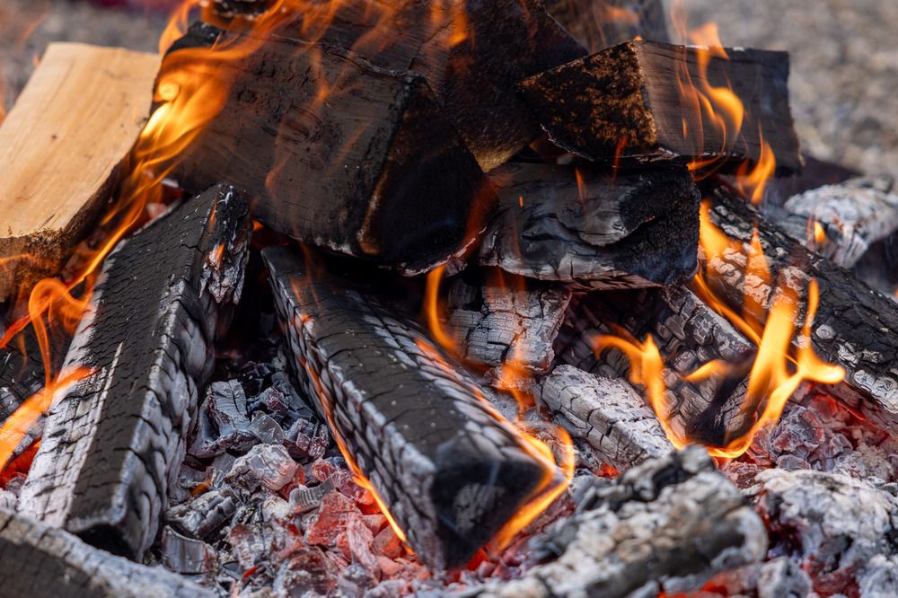 Photograph by Abhishek