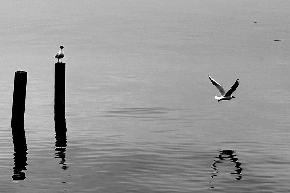 Photograph by Рина Серёгина